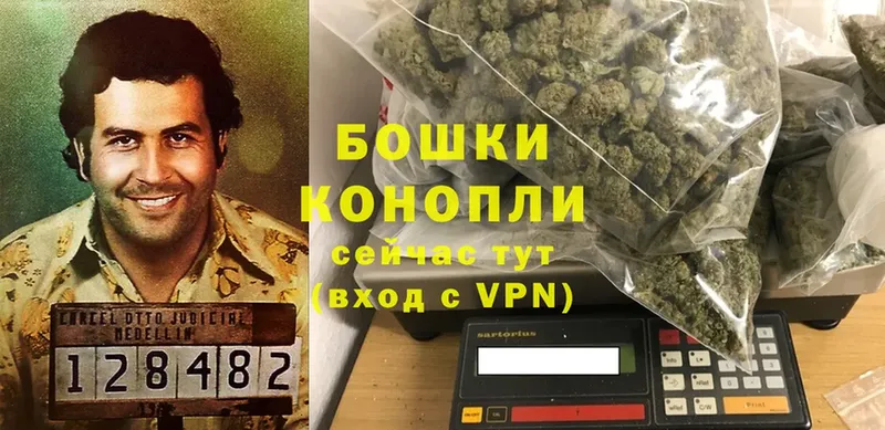 где продают наркотики  Карпинск  Бошки Шишки OG Kush 